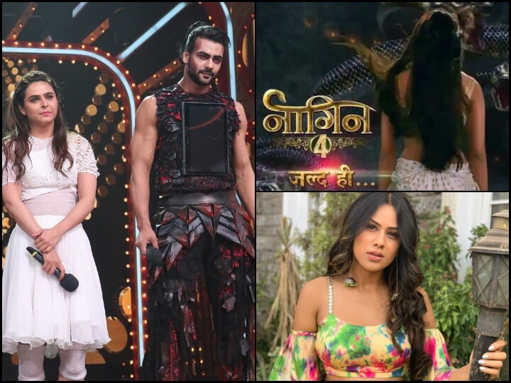 Naagin 4: Vishal Aditya Singh & Madhurima Tuli To Be PART Of Nia Sharma's Show? Naagin 4: Vishal Aditya Singh & Madhurima Tuli To Be PART Of Nia Sharma's Show?