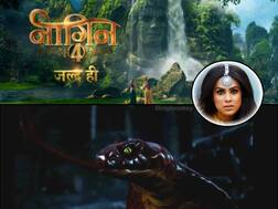 'Naagin 4: New Teaser OUT! Reveals Nia Sharma's Name As Naagrani 'Brinda', Bad Naagin Introduced Who Will Attack Her! Fans Make Guesses!