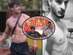 Bigg Boss 13: Here's How Asim Riaz's Doctor-Brother Umar Riaz Reacted To Paras Chhabra's Maa-Behen Gaalis He Gave Him In BB 13 House!