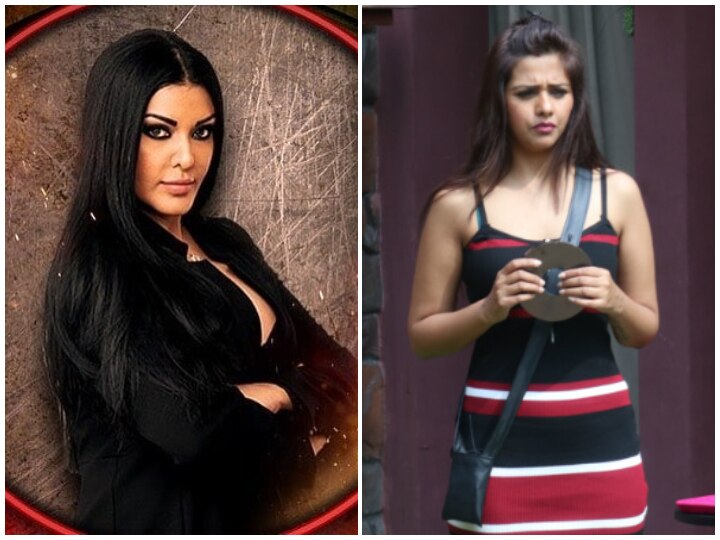 Bigg Boss 13: Evicted Dalljiet Kaur To Re Enter As Wild Card Contestant Along With Koena Mitra? Evicted 'Bigg Boss 13' Contestant Dalljiet Kaur To Re Enter As Wild Card Along With Koena Mitra?