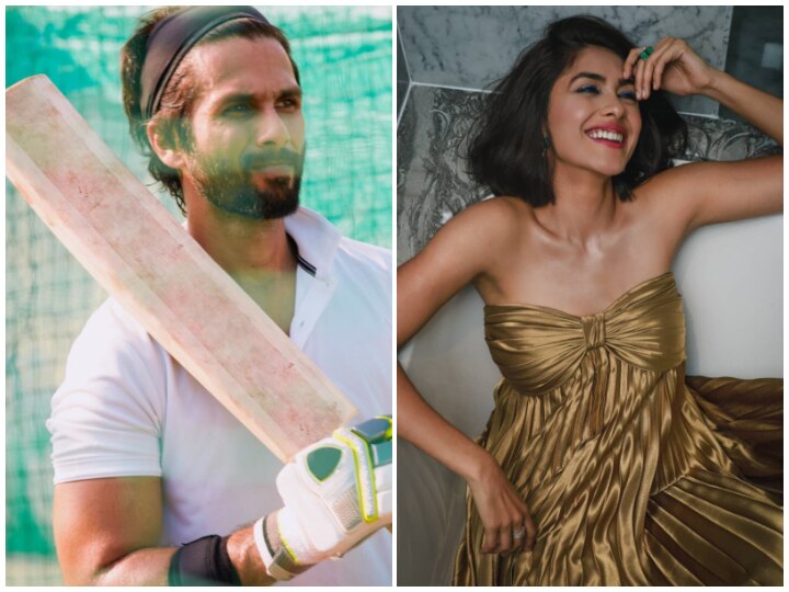 'Kumkum Bhagya', 'Super 30' Actress Mrunal Thakur Joins Shahid Kapoor In 'Jersey'! 'Super 30' Actress Mrunal Thakur Is Shahid Kapoor Leading Lady In 'Jersey'!