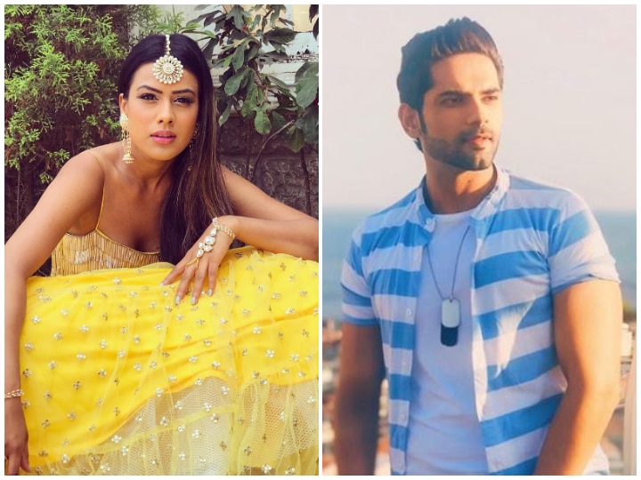 Naagin 4: 'Veera' Actor Ankit Bathla To Play Nia Sharma's Love Interest In Colors Show? Naagin 4: 'Veera' Actor Ankit Bathla To Play Nia Sharma's Love Interest In Colors Show?