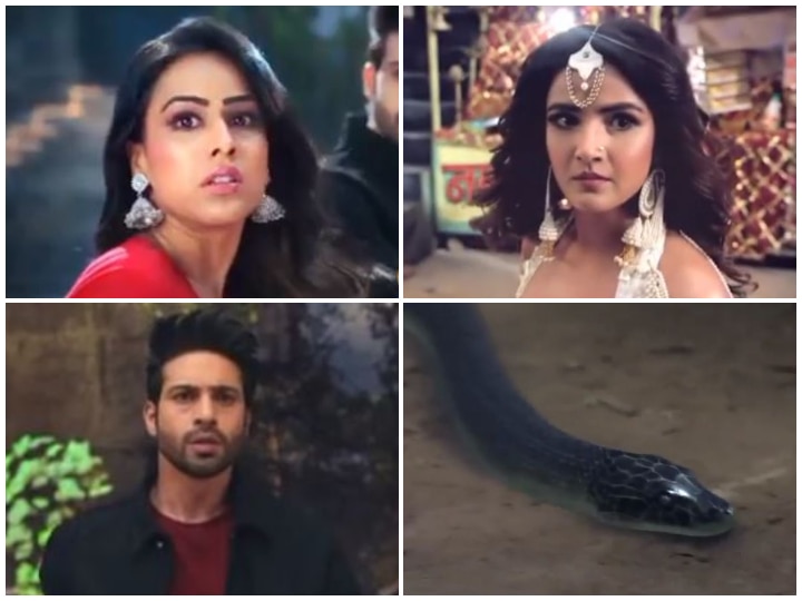 Naagin 4 Promo: Nia Sharma, Jasmin Bhasin Join Hands Against Vijayendra Kumeria To Seek Revenge! Watch Video! Naagin 4 Promo: Nia Sharma, Jasmin Bhasin Join Hands Against Vijayendra Kumeria To Seek Revenge!