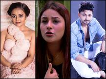 Bigg Boss 13: RJ Anmol SLAMS Devoleena For Comparing Her Pet Dog To Shehnaaz; Actress HITS BACK