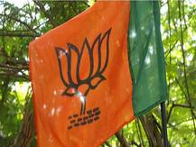 Karnataka Elections: BJP Workers, Supporters Revel In Bypoll Victory