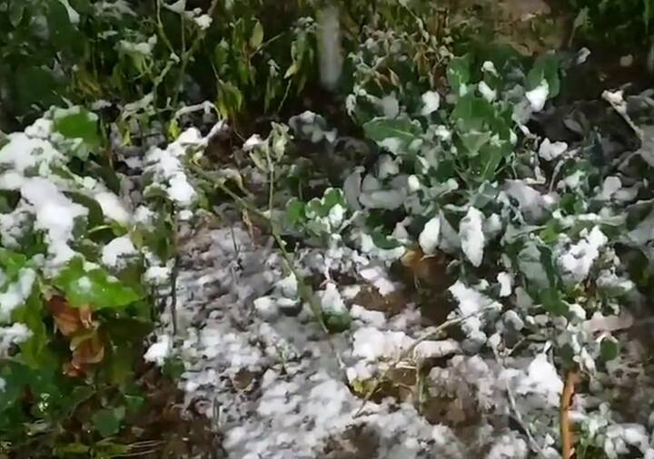 Jammu and Kashmir: Upper reaches of Doda received fresh snowfall. (ANI)