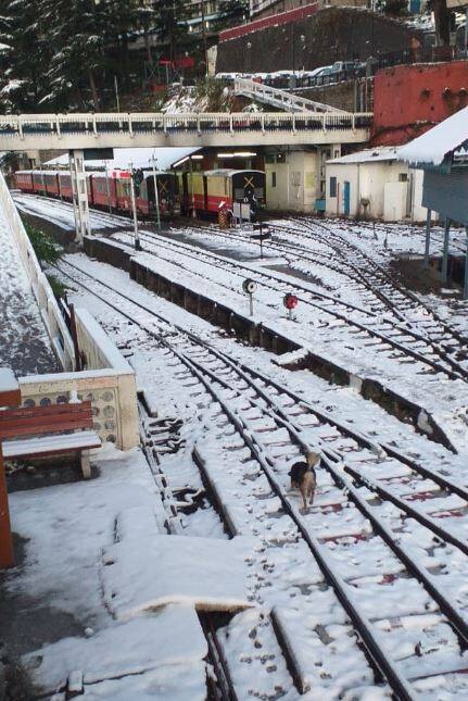 Many netizens hopped on to Twitter to share magnificent photos of the picturesque tourist spots that have turned into nothing less than a winter wonderland. (ANI)