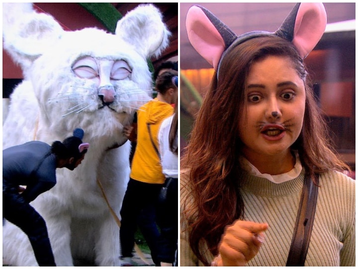 Bigg Boss 13: Shefali Bagga Destroys Captaincy Task; Fights With Rashami Desai & Madhurima Tuli! Bigg Boss 13: Shefali Bagga Destroys Captaincy Task; Fights With Rashami Desai & Madhurima Tuli!