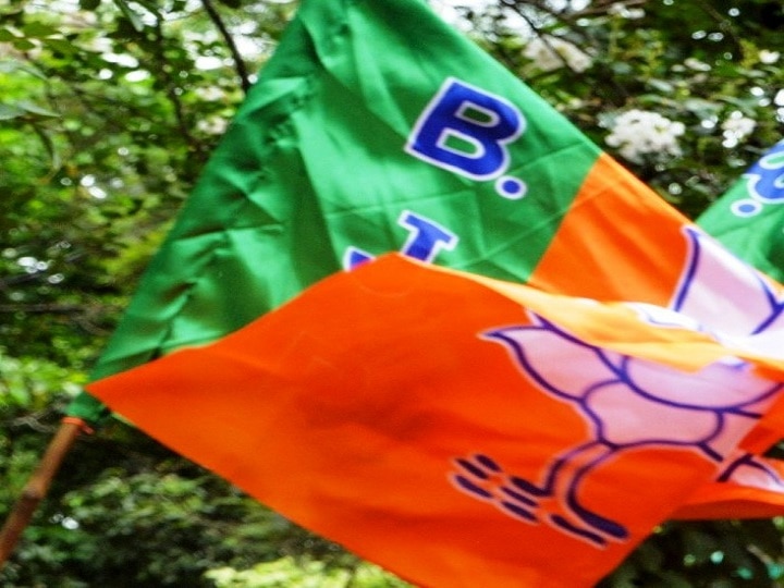 Gujarat Panchayat Bypoll Results 2019 BJP wins 29 seats Congress only three Gujarat Panchayat Bypoll Results 2019: Clean Sweep For BJP As It Bags 29 Of 33 Seats, Congress Manages Just 3