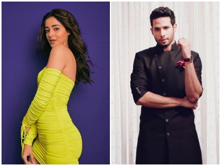 Siddhanth Chaturvedi Shuts Ananya Panday's Nepotism Rant; 'Gully Boy' Actor's Reply Is Winning The Internet! Siddhanth Chaturvedi Shuts Ananya Panday's Nepotism Rant; 'Gully Boy' Actor's Reply Is Winning The Internet