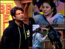 Bigg Boss 13: Shehnaaz Gill Hits Sidharth Shukla, Tells Him 'I Hate You'