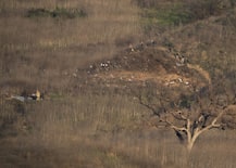 Visuals From The Crash Site Where Kobe Bryant Died