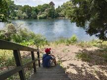 'Life Is A Blessing', Kohli's Instagram Post Shows Indian Skipper Enjoying Nature's Bliss In NZ