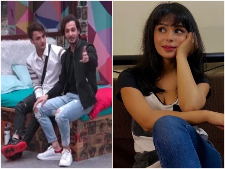 Bigg Boss 13: Asim Riaz's brother Umar Riaz Calls TV actress Sonal Vengurlekar DESPERATE For Fame! Bigg Boss 13: EXCLUSIVE! Umar Riaz LASHES OUT At Sonal Vengurlekar Says 'She Is DESPERATE For Fame'; Asim Was NEVER In A Live-In Relationship With Shruti Tuli!