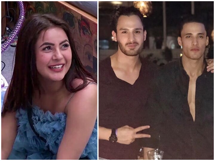 Bigg Boss 13: Not Shehnaaz Gill, But Asim Riaz To Have His Swayamvar In New Show? Brother Umar Riaz Calls It 
