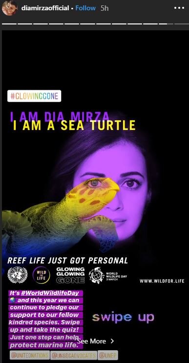 World Wildlife Day 2020: 'I Am A Sea Turtle,' Says Dia Mirza