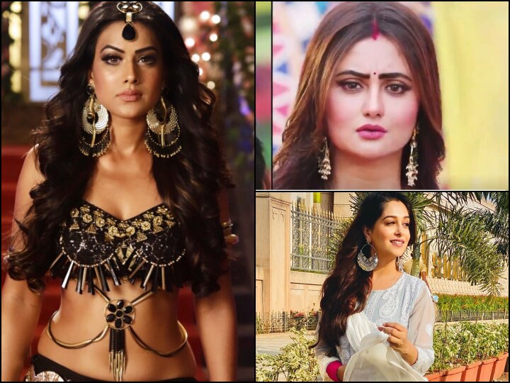 Naagin 4: After Rashami Desai, Bigg Boss 12 Winner & Kahaan Hum Kahaan Tum Actress Dipika Kakar To Enter Nia Sharma Show? Naagin 4: After Rashami Desai, EX Bigg Boss Winner To ENTER Nia Sharma's Show? Here's The Truth!