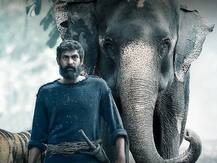 Coronavirus: After 'Sooryavanshi', Release Date Of 'Haathi Mere Saathi' Postponed Due To COVID-19 Pandemic