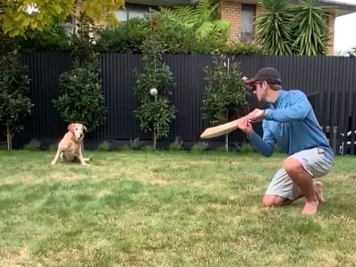 WATCH: Kane Williamson Gives 'Slip Catching Practice' To Pet Dog WATCH: Kane Williamson Gives 'Slip Catching Practice' To Pet Dog