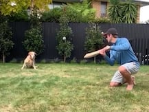WATCH: Kane Williamson Gives 'Slip Catching Practice' To Pet Dog
