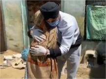 WATCH: Harbhajan Singh Shares Video Of Sikh Man Helping Elderly Woman