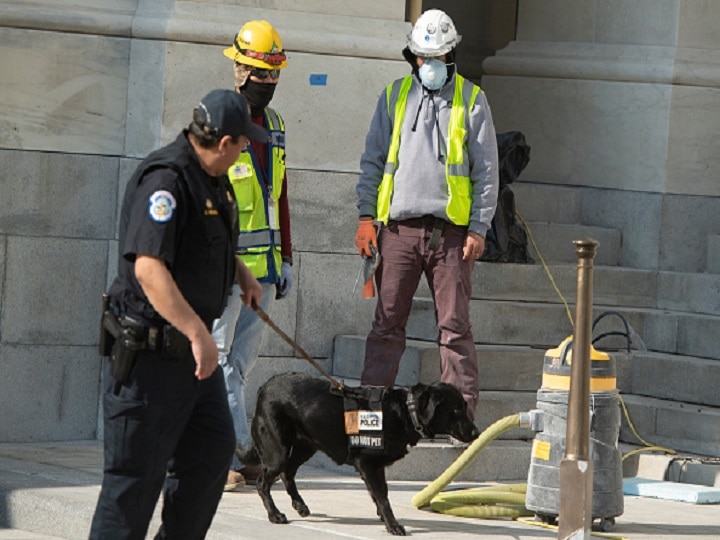 Researchers Working To Find Out If Dogs Can Help Detect Coronavirus Patients Researchers Working To Find Out If Dogs Can Help Detect Coronavirus Patients