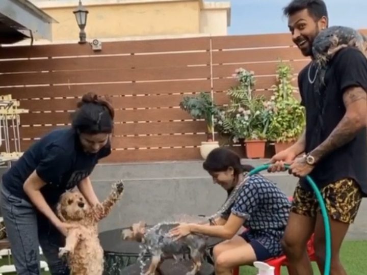 WATCH: Natasa Stankovic Enjoys Pet Dog Bath Session With Hardik Pandya WATCH: Natasa Stankovic Enjoys Pet Dog Bath Session With Hardik Pandya