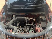 How To Tackle The Problem Of Rat Infestation In Cars