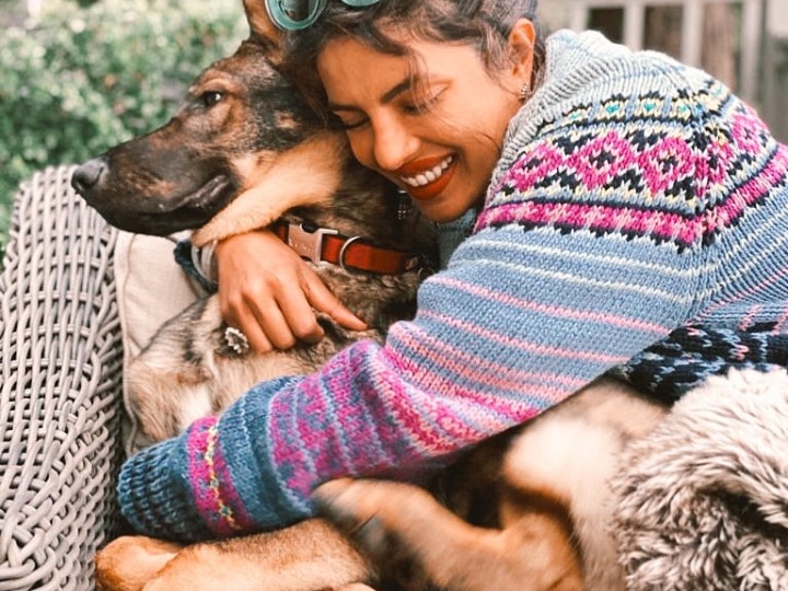 Priyanka Chopra Pet Dog Gino Loves Her Cuddles, Seen Their Adorable PIC Yet? Priyanka Chopra's Pet Dog Gino Loves Her Cuddles, Seen Their Adorable PIC Yet?