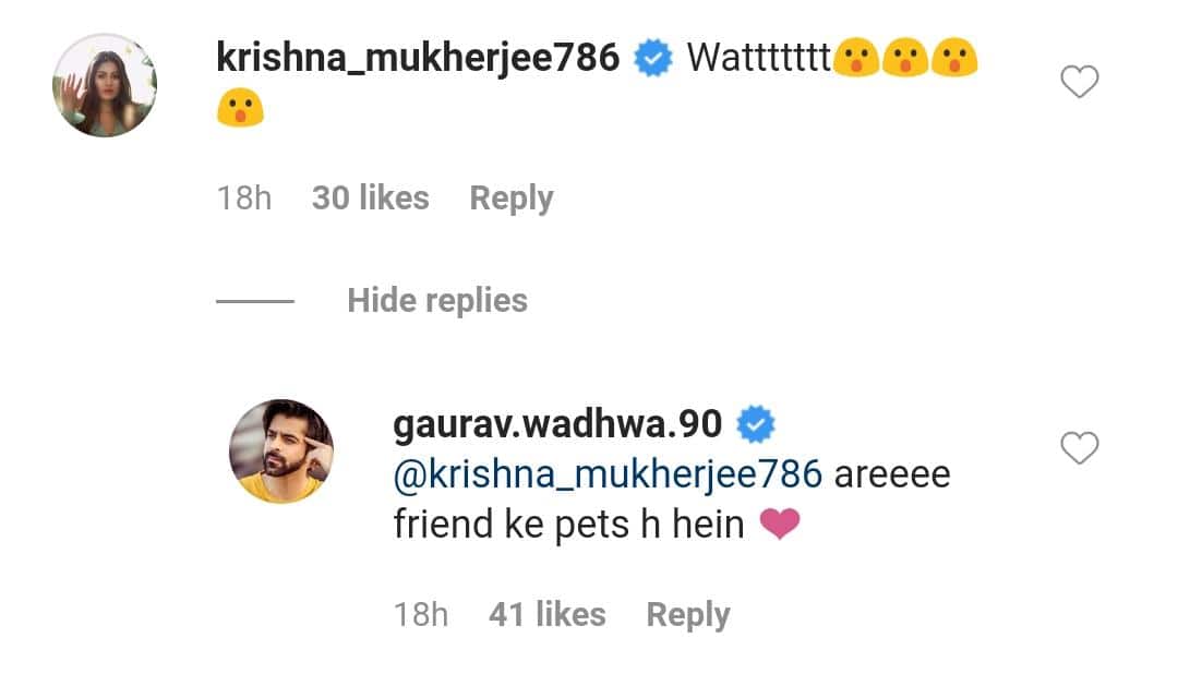 Yeh Rishta Kya Kehlata Hai Actor Gaurav Poses With Python, Co-Star Mohena Goes 'WHAT