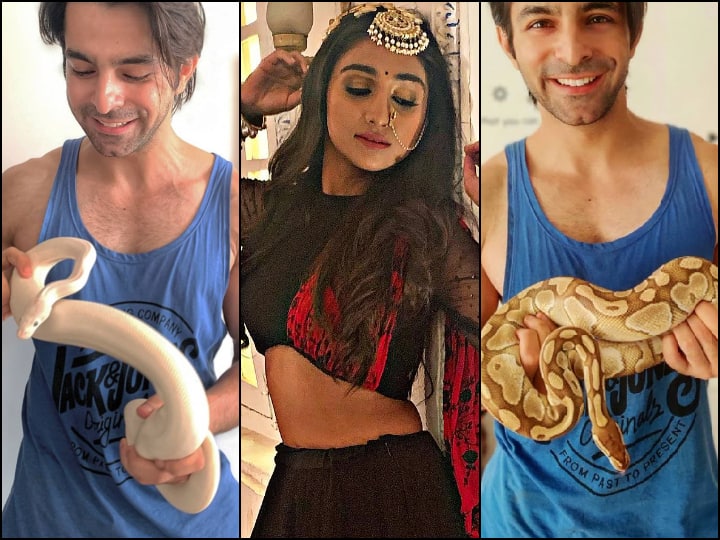 Yeh Rishta Kya Kehlata Hai Actor Gaurav Wadhwa Poses With Python, Co-Star Mohena Kumari Singh Says ‘What? When Did This Happen’ Yeh Rishta Kya Kehlata Hai Actor Gaurav Poses With Python, Co-Star Mohena Goes 'WHAT'