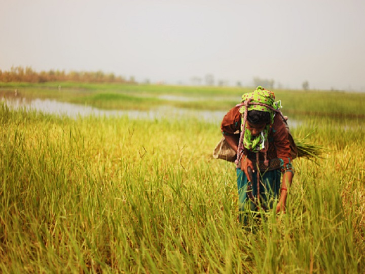 Economic Package Round-II | FM Announces 63 Lakh Loans To The Tune Of Rs 86,600 Cr For Small Farmers Economic Package Round-II | FM Sitharaman Announcement For Farmers 63 Lakh Loans