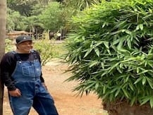 Watch: Dharmendra Showcases His Love For Bamboo Amid Quarantine