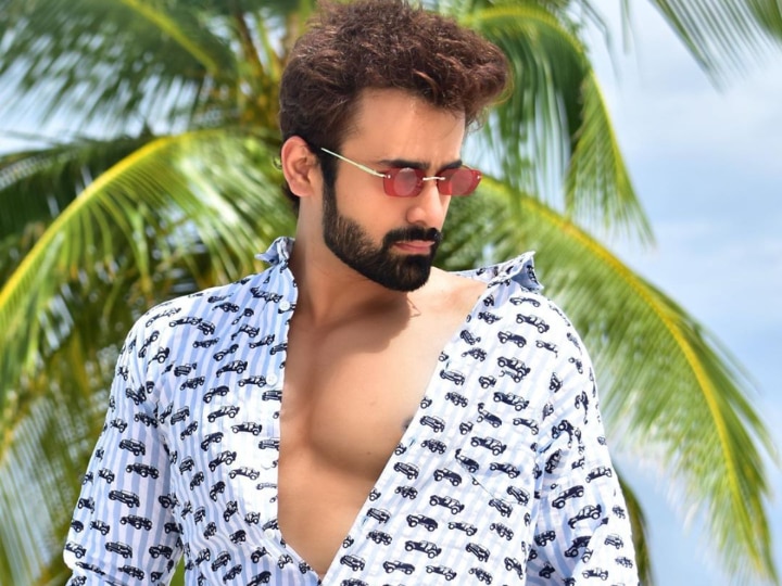 ‘Naagin 3’ Actor Pearl V Puri To Make His Bollywood Debut?