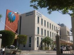 ICC's Cricket Committee Likely To Announce Final Decision Over Staging Of 2020 T20 World Cup Tomorrow