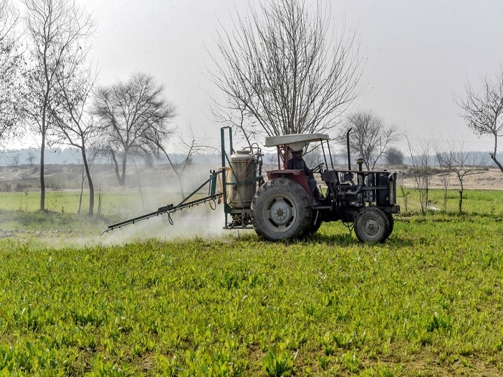 Locust Attack: Why Pakistan Turns Out To Be Breeding Ground Of Tiny Crop Eating Insect | EXPLAINED