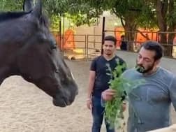 Salman Khan’s New Show ‘House Of Bhaijaanz’ Based On His Quarantine Life Coming Soon On TV!