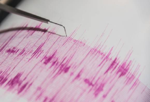 Earthquake Of Magnitude 4.6 Jolts Haryana's Rohtak; Strong Tremors Felt In Delhi-NCR, Punjab
