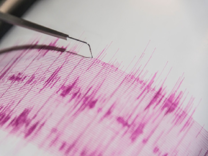 Earthquake Of Magnitude 4.6 Jolts Haryana's Rohtak; Strong Tremors Felt In Delhi-NCR, Punjab