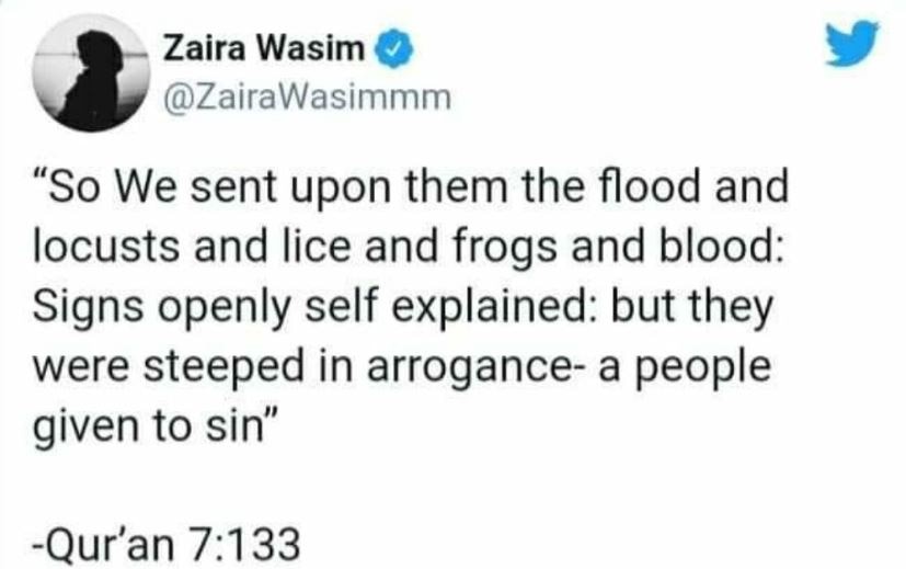 Zaira Wasim Deletes Twitter, Instagram Accounts After Getting Trolled For Quoting The Quran