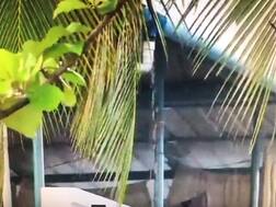 VIDEO: Monsoon Arrives In Kerala; IMD Issues Yellow Alert For 9 Districts