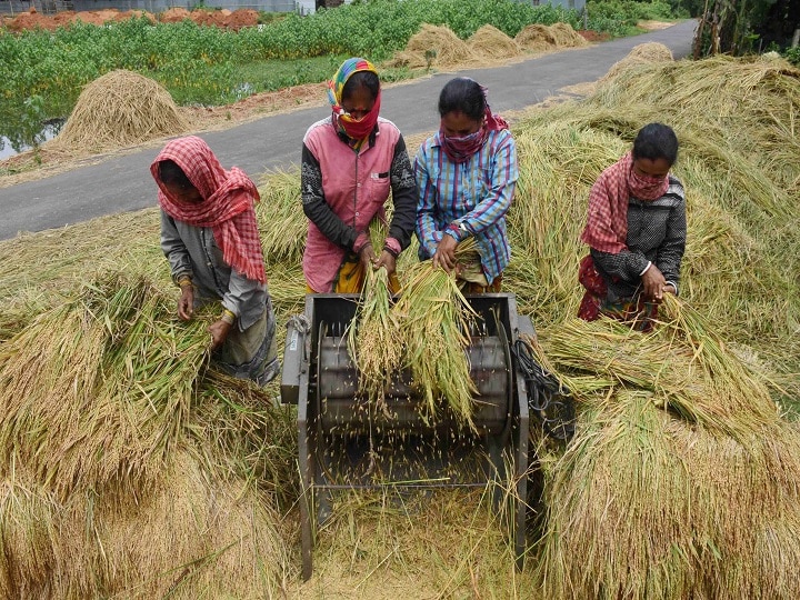 Govt Increases MSP For 14 Kharif Crops; Farmers To Get 50-83% More Than Cost As Monsoon Approaches, Govt Increases MSP For 14 Kharif Crops; Farmers To Get 50-83% More Than Cost