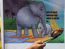 Elephant Killing in Kerala: Investigation Focuses On Three Suspects