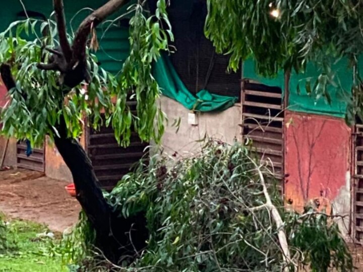 Salman Khan's Panvel Farmhouse Affected By Cyclone Nisarga, Iulia Vantur Shares PICS