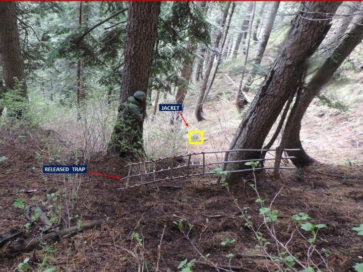 Infiltration Bid Foiled In Nowgam Sector; Army Using Innovate Traps To Kill Infiltrators Infiltration Bid Foiled In Nowgam Sector; Army Using Innovate Traps To Kill Infiltrators