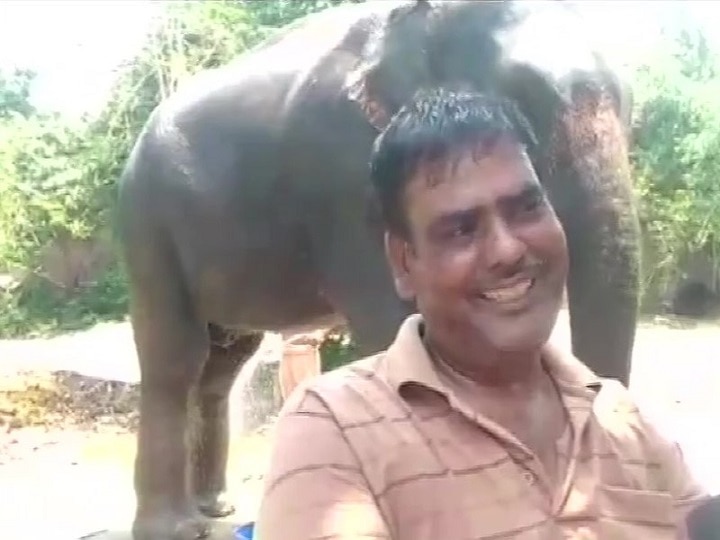 Amid public outrage in Kerala elephant death, Bihar man names two elephants in the will to transfer property Meet Akhtar Imam Who Has Willed Half His Property To 2 Elephants Rani & Moti