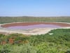 Maharashtra: World Famous Lonar Lake Turns Pink Overnight; Probe Underway
