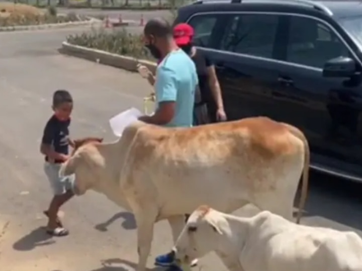 WATCH: Shikhar Dhawan Shares Video Of Him Feeding 'Hungry Animals' With Family WATCH: Shikhar Dhawan Shares Video Of Him Feeding 'Hungry Animals' With Family
