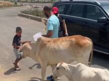 WATCH: Shikhar Dhawan Shares Video Of Him Feeding 'Hungry Animals' With Family