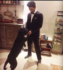 International Dog Day: Here Are Some Adorable Photos Of Bollywood Celebs And Their Pooches